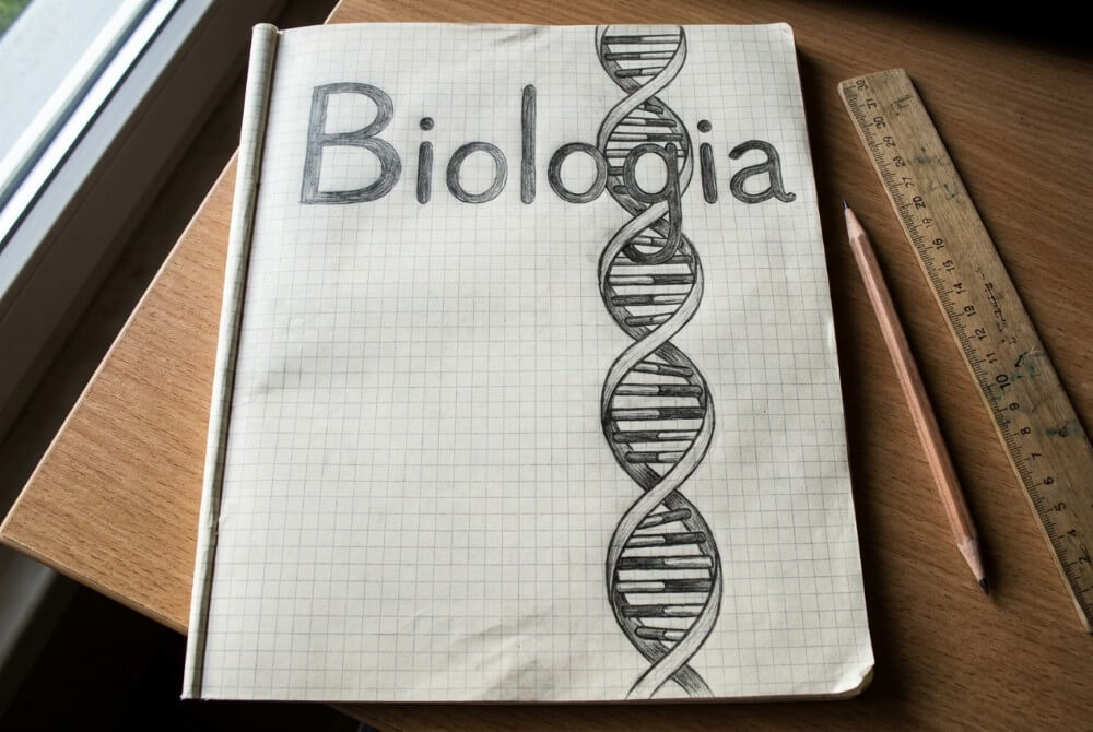 Pierwsza strona zeszytu z napisem „Biologia” i wyraźnie narysowaną podwójną helisą DNA przy marginesie