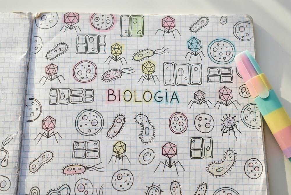 Pierwsza strona zeszytu z tytułem „Biologia” i gęstym wzorem schematycznych komórek, bakterii i wirusów jak tapeta